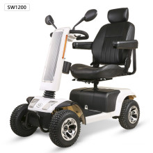 hot Sell Luxury 800w Mobility scooter for golf